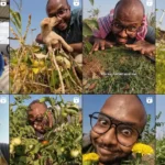 Silly Sensei Content Creator