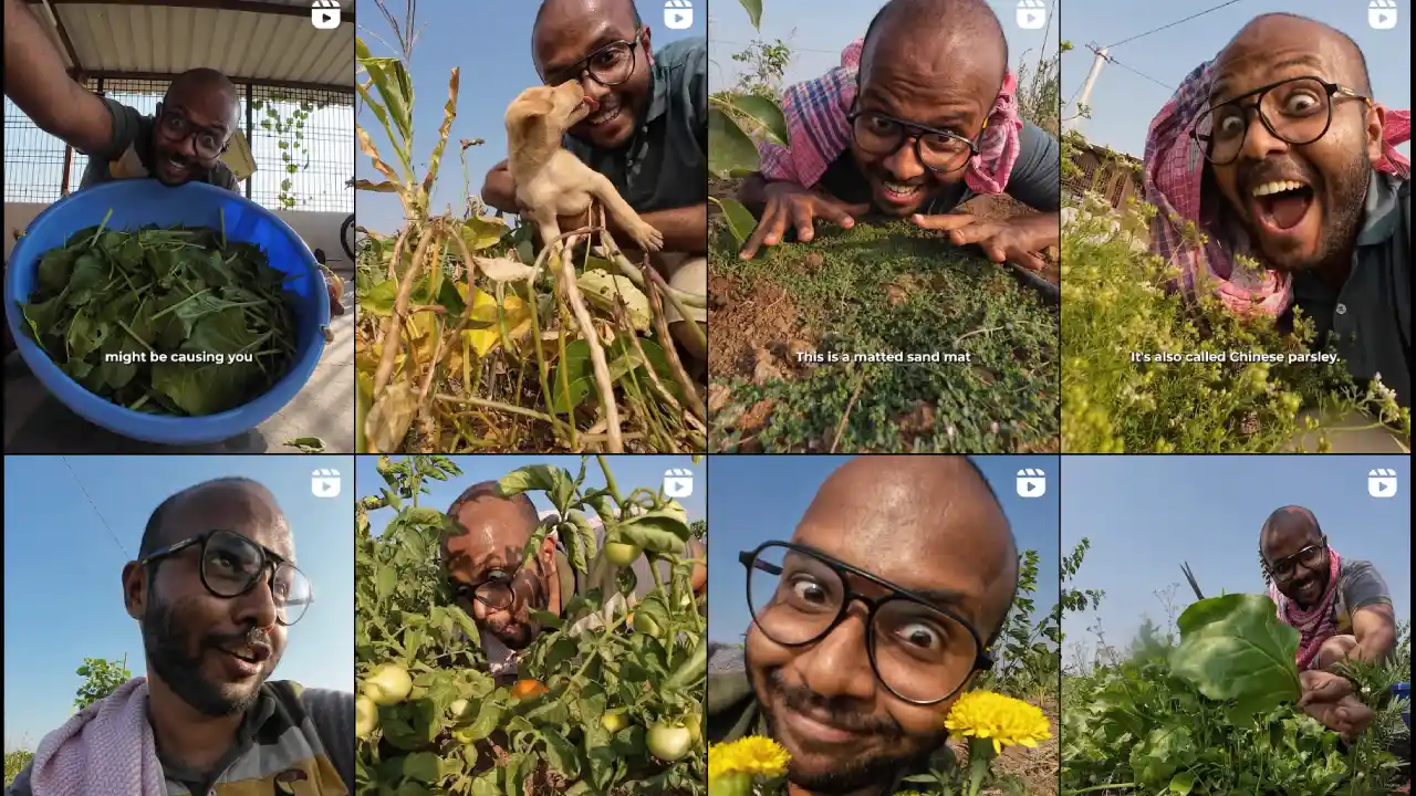 Silly Sensei Content Creator